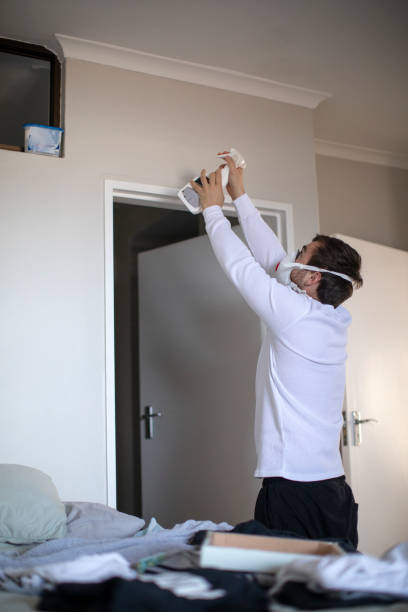 Best Mold Damage Restoration  in Tresckow, PA