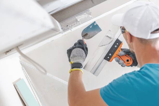 Tresckow, PA Mold Removal Company